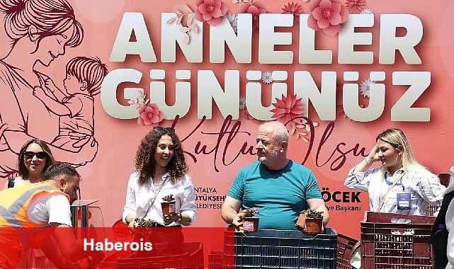 Büyükşehir'den 'Annelere' 25 bin çiçek - Haberois Büyükşehir'den 'Annelere' 25 bin çiçek