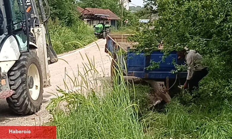 Can kurtarayım derken, kendi canından oluyordu - Haberois Can kurtarayım derken, kendi canından oluyordu