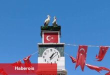 Can ve Canan Leylek Yuvalarına Geldi