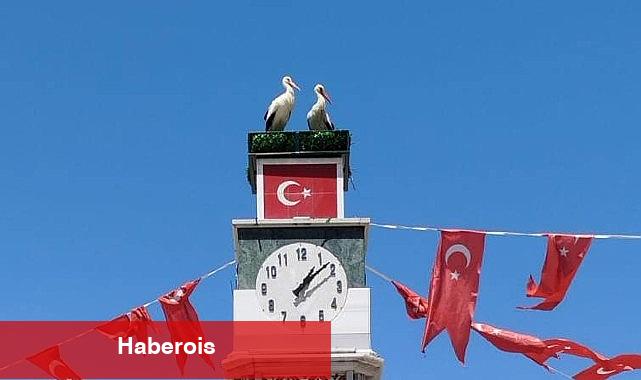 Can ve Canan Leylek Yuvalarına Geldi - Haberois Can ve Canan Leylek Yuvalarına Geldi
