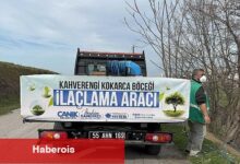 Canik'te Kokarca Böceğine Karşı Uğraşta Atak
