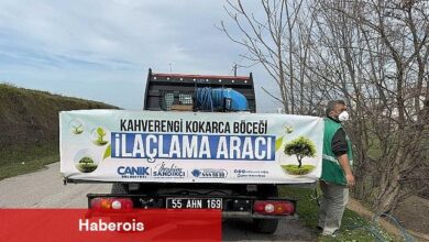 Canik'te Kokarca Böceğine Karşı Uğraşta Atak