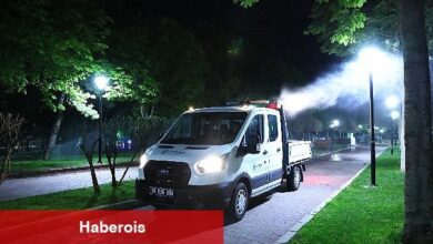 Çankaya'da yaz için ilaçlama seferberliği başladı