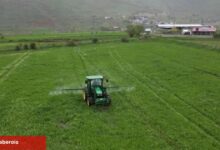 Cann Gübre Erzurum çiftçisine can simidi oldu