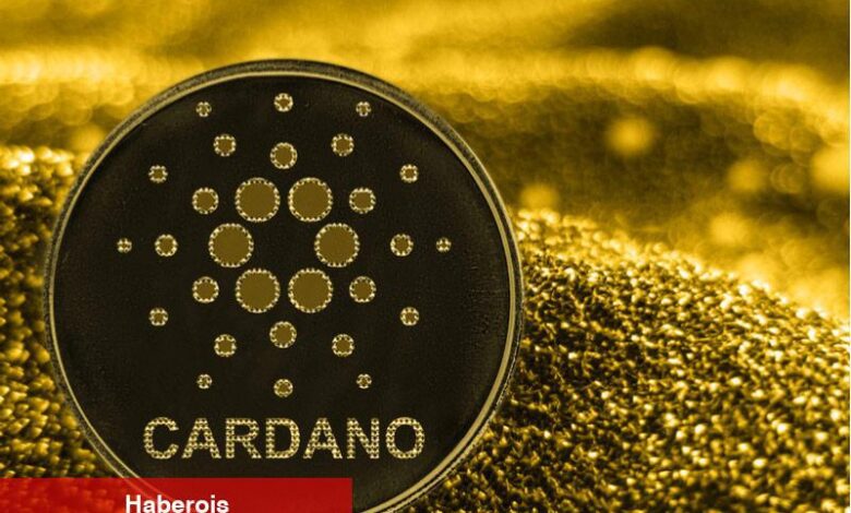 Cardano ve Brave’den stratejik iştirak: Web3 cüzdanında bir birinci - Haberois Cardano ve Brave’den stratejik iştirak: Web3 cüzdanında bir birinci