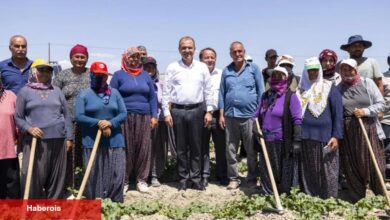 Çiftçinin yüzünü güldüren atak
