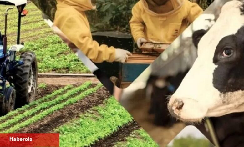 Çiftçiye 3,3 milyar TL'lik destek ödemeleri hesaplarda - Haberois Çiftçiye 3,3 milyar TL'lik destek ödemeleri hesaplarda
