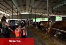 Çiğli Belediyesi'nden çocuklara tabiat ve hayvanlarla iç içe unutulmaz bir gün