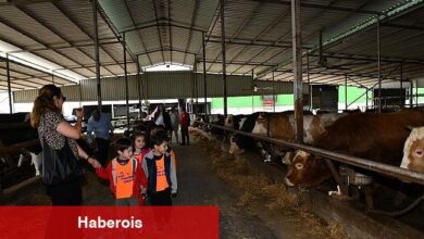 Çiğli Belediyesi'nden çocuklara tabiat ve hayvanlarla iç içe unutulmaz bir gün