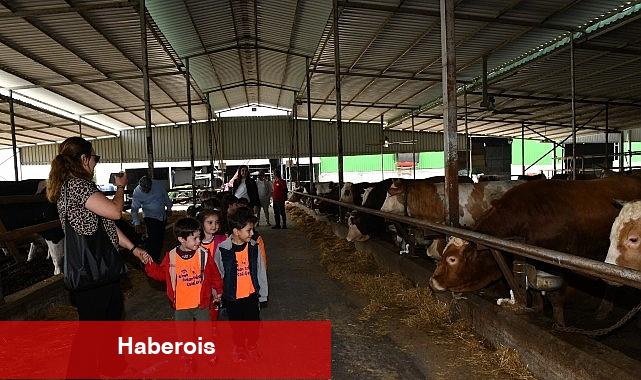 Çiğli Belediyesi'nden çocuklara tabiat ve hayvanlarla iç içe unutulmaz bir gün - Haberois Çiğli Belediyesi'nden çocuklara tabiat ve hayvanlarla iç içe unutulmaz bir gün