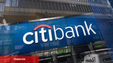 Citi'den dolar tahlili