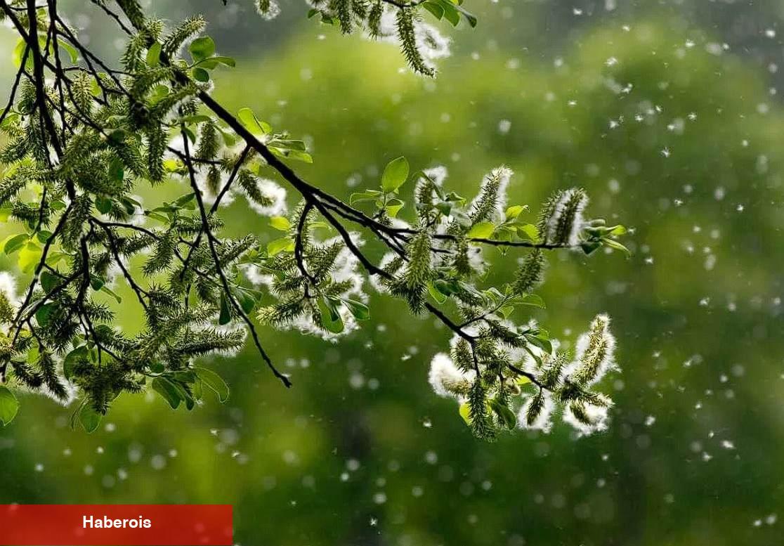 Çocuklarda bahar alerjisi: Alerjik rinit belirtileri ve korunma yolları