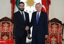 Cumhurbaşkanı Erdoğan, Şara ile görüştü