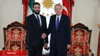 Cumhurbaşkanı Erdoğan, Şara ile görüştü