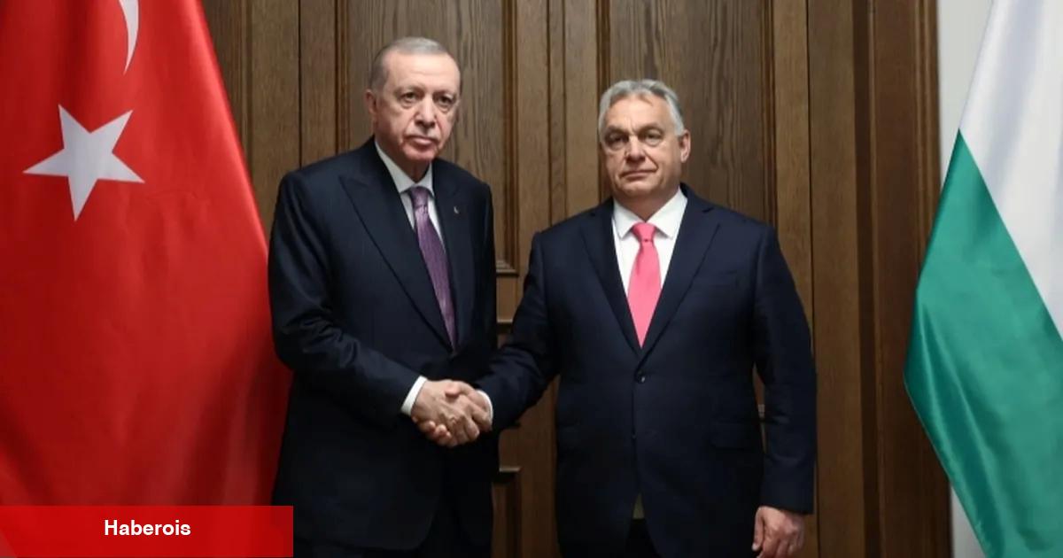 Cumhurbaşkanı Erdoğan'dan Macaristan'dan AB ve barış vurgusu