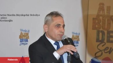 DEVA Mardin barışın adresini açıkladı