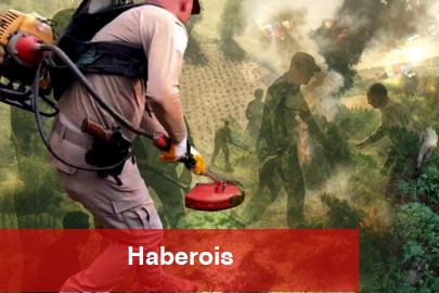 Diyarbakır'da uzaktan algılama ile zehir tacirlerine geçit verilmedi! Milyonlarca kök kenevir ele geçirildi