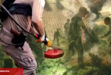 Diyarbakır'da uzaktan algılama ile zehir tacirlerine geçit verilmedi! Milyonlarca kök kenevir ele geçirildi