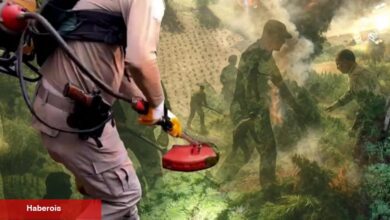 Diyarbakır'da uzaktan algılama ile zehir tacirlerine geçit verilmedi! Milyonlarca kök kenevir ele geçirildi