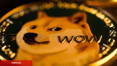 Dogecoin Yatırımcıları Dikkat! Bu Düzeyler Çok Önemli!