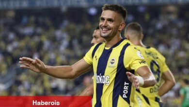 Dusan Tadic: "Dzeko ile oynamama kararı aldık"