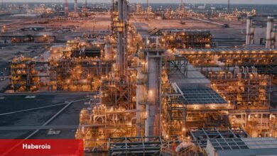 Düşen fiyatlara rağmen Opec Plus neden petrol malzemelerini artırıyor