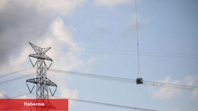 "Elektrik ve doğalgazda gelecek birkaç ay fiyat artışı planlanmıyor"