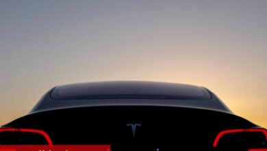 Elon Musk göz morarmasını açıkladı