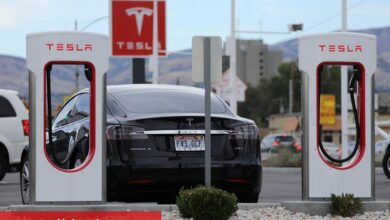 Elon Musk: Tesla Model Y Haziran’da ’kendi kendine teslimat’ yapmaya başlayacak
