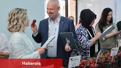 Emiralem Çilek Şenliği rekor kırdı: milyonu geçti!