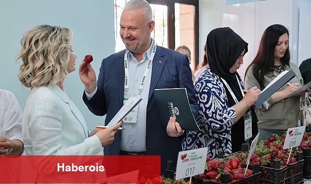 Emiralem Çilek Şenliği rekor kırdı: milyonu geçti! - Haberois Emiralem Çilek Şenliği rekor kırdı: milyonu geçti!