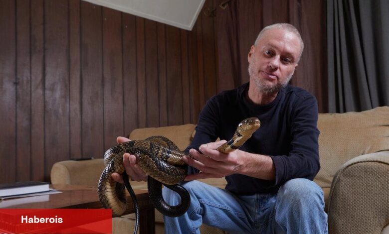Evrensel antivenom, yılanların onu yüzlerce kez ısırmasına izin veren insandan büyüyebilir - Haberois Evrensel antivenom, yılanların onu yüzlerce kez ısırmasına izin veren insandan büyüyebilir