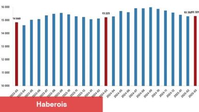 Fiyatlı Çalışan İstatistikleri, Mart 2025