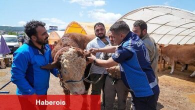 Gaziemir'de kurban satış yerlerinde sıkı kontrol
