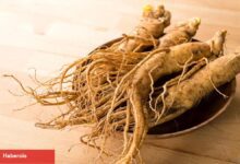 Ginseng'in cilt üzerindeki büyüleyici gücü!