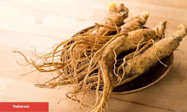 Ginseng'in cilt üzerindeki büyüleyici gücü! - Haberois Ginseng'in cilt üzerindeki büyüleyici gücü!