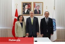 Güneş enerjisi kullanımının potansiyelini belirleyecek projeye TÜBİTAK'tan destek