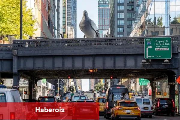 Güvercin kutlaması mı? Hayranları var. - Haberois Güvercin kutlaması mı? Hayranları var.