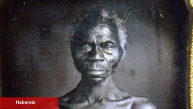 Harvard, köle fotoğrafları üzerinde uzun süreli dövüşten sonra merhamet ediyor