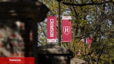 Harvard liderleri Trump ile savaşırken sadece kötü sonuçları görüyor