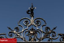 Harvard'ın neden çıkış yolu yok
