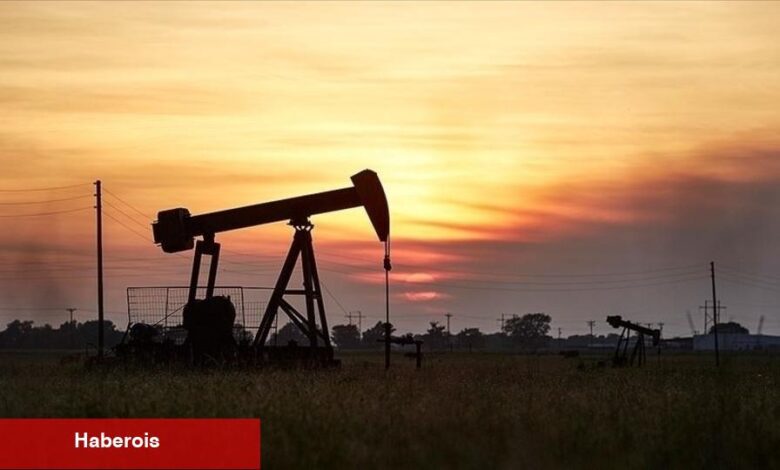 Hedge fonlarda petrolde yükseliş bekliyor - Haberois Hedge fonlarda petrolde yükseliş bekliyor