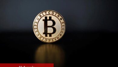 Hiçbir Bitcoin ve Ethereum spot ETF’inden sermaye çıkışı yaşanmadı