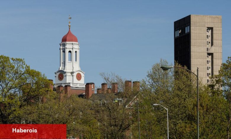 Hükümet Harvard'ın uluslararası öğrencileri kaydetmesini nasıl engelleyebilir? - Haberois Hükümet Harvard'ın uluslararası öğrencileri kaydetmesini nasıl engelleyebilir?