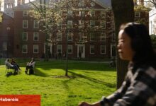 Hükümetin uluslararası öğrencilerin gitmesi gerektiğini söyledikten sonra Harvard'da şok