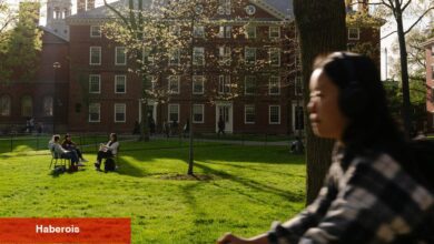Hükümetin uluslararası öğrencilerin gitmesi gerektiğini söyledikten sonra Harvard'da şok
