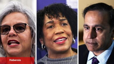 Illinois Senato Yarışı, Old Grudges ve Pritzker'in Gücü Testi