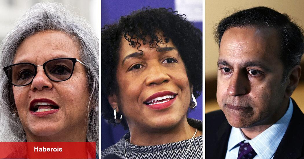 Illinois Senato Yarışı, Old Grudges ve Pritzker'in Gücü Testi