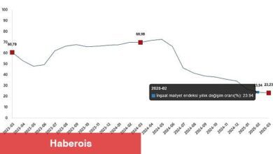 İnşaat Maliyet Endeksi, Mart 2025