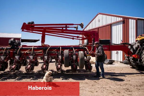 Iowa çiftçileri zaten savunmasızdı. Sonra ticaret savaşı geldi. - Haberois Iowa çiftçileri zaten savunmasızdı. Sonra ticaret savaşı geldi.